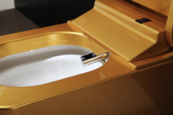 Full Body Golden SmartToilet With Built In Bidet , Intelligent Toilet Seat Floor Mounted