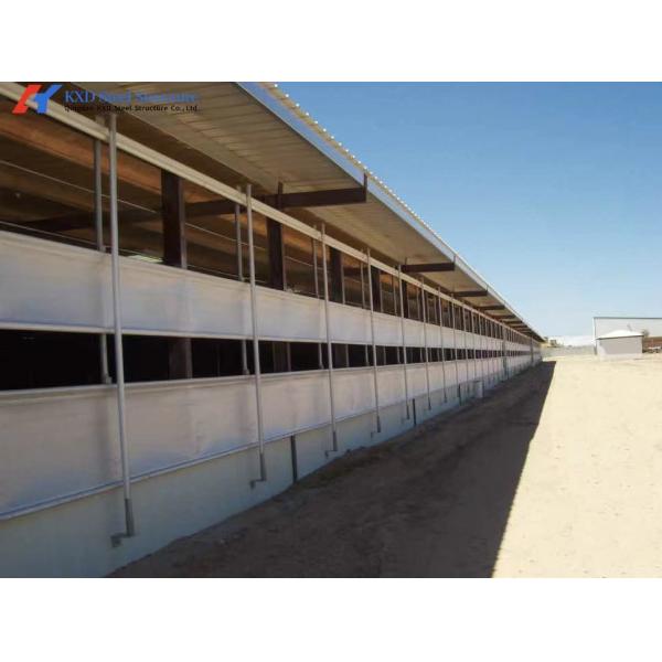 Customized Piggery Shed Steel Structure Animal Husbandry Green House