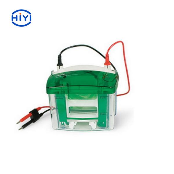 Био-Рад мини-протеиновые тетраклеточные гели за 30 минут