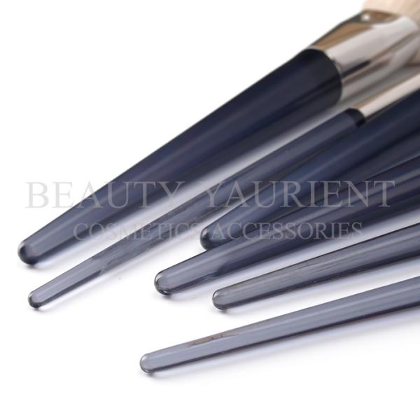 2 Tones Pbt Hair Private Label Makeup Brushes Set 6pcs 22cm Total Length