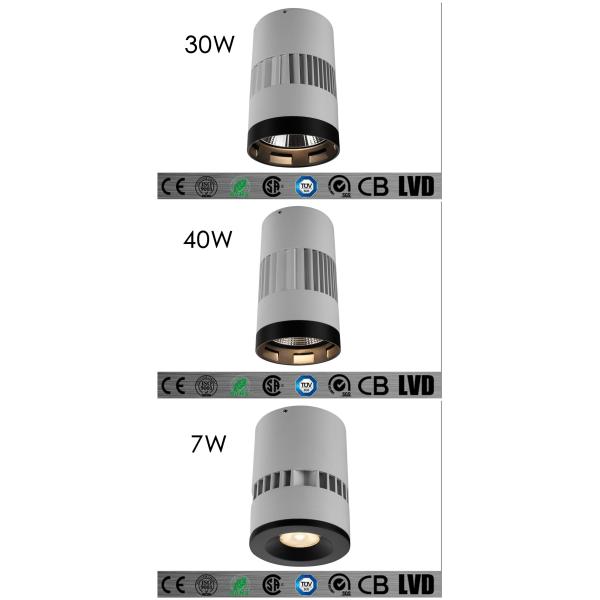 Interior 20w 2700-3000k Surface Mount Led Lights , Ceiling Led Downlights