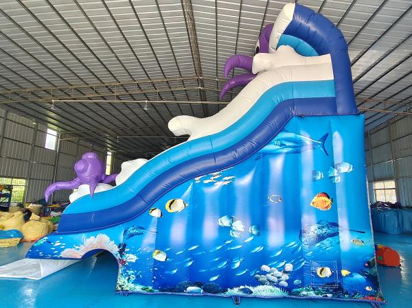 Novo Design Popular Slide Inflável Ocean Octopus Cartoon Party Slides Duplos Infláveis Secos para Crianças e Adultos