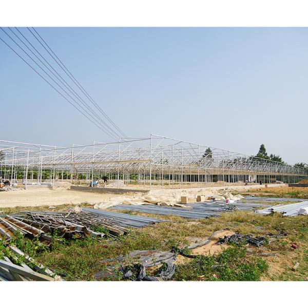 Kit de invernadero grande para huerto 30X100 con estructura metálica