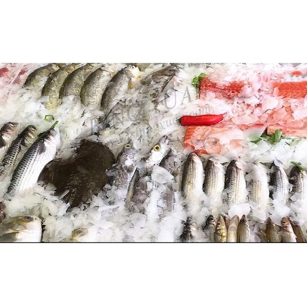 Wholesale Price Industrial Flake Ice Machine, 1T/Day Small capacity Ice maker