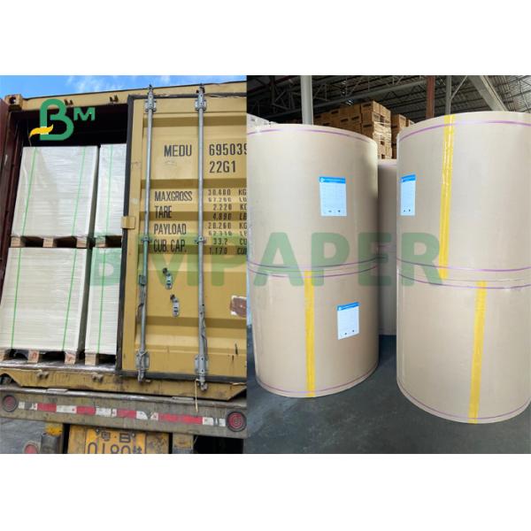 CUPP1S 230gsm + 15g PE Coated Paper For Cold Drinks Cup 880mm 900mm