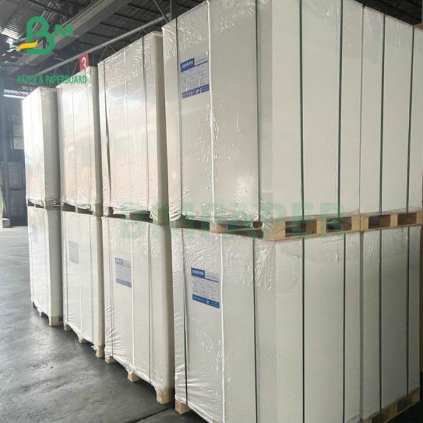 Strong Stiffness 300GSM 350GSM Ivory Board FBB Paper 72x102cm Strong Stiffness 300GSM 350GSM Ivory Board FBB Paper 72x102cm
