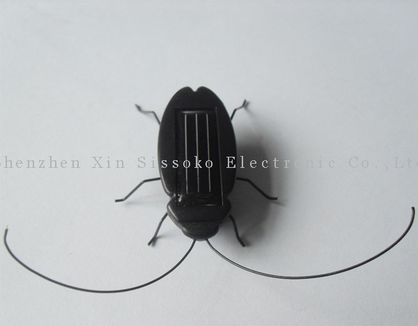 solar cockroach