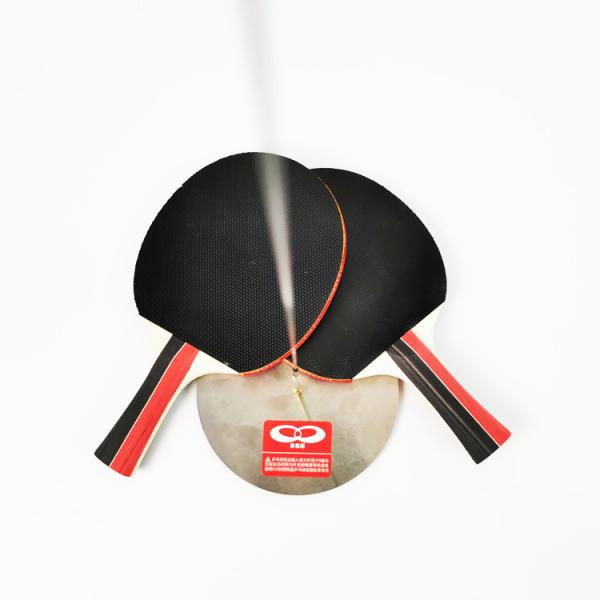 Flex Axle Portable Table Tennis Set Wood Handle Rubber Sponge