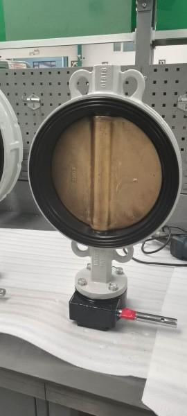 Marine valve