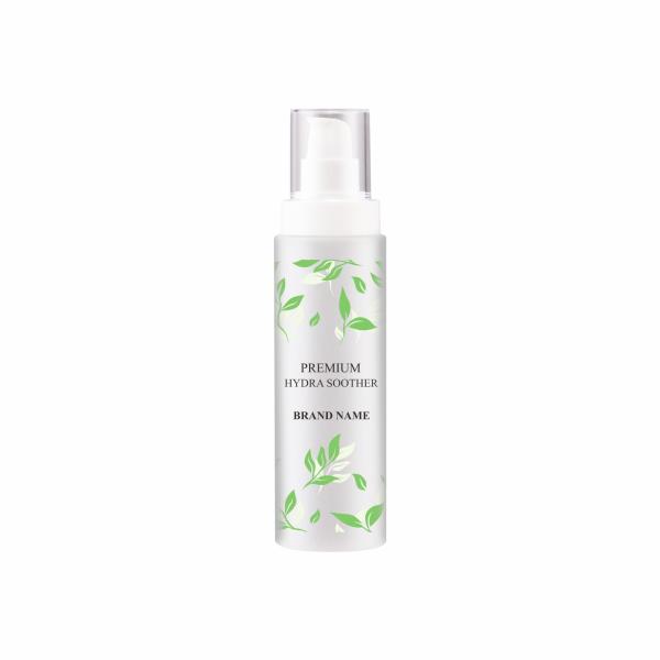 Cylinder Plastic  100ml 300ml Lotion Dispenser Pump Bottle
