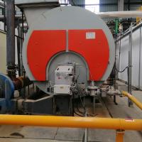 Caldeira de Biodiesel de Combustível de Gás e Óleo Industrial Caldeira WNS com Display LCD Inglês