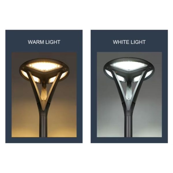 High Efficiency Solar LED Garden Lights IP65 Waterproof Eco-Friendly for Outdoor Garden Use