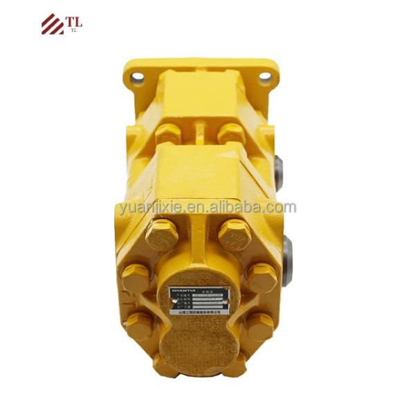 Shantui Bulldozer Spare Part SD16 Double Gear Pump 16T-70-10000 for Crawler Excavator