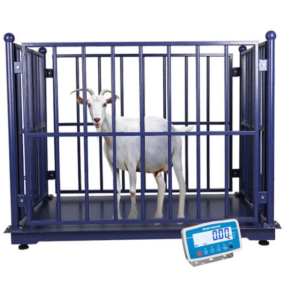 Balance de cheval en acier inoxydable Balance de plancher pour élevage de bétail avec clôture 500g précision et alimentation AC110V/220V