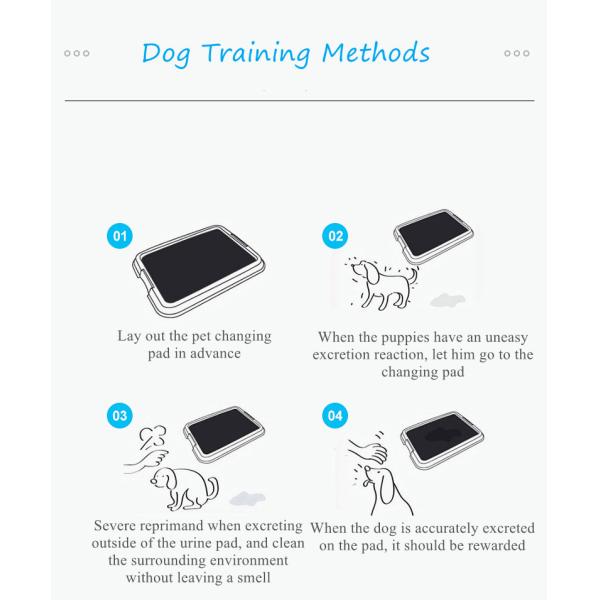 Тренировка доказательства утечки 6 слоев небольшая прокладывает аксессуары поставок любимца пусковых площадок мочи щенка