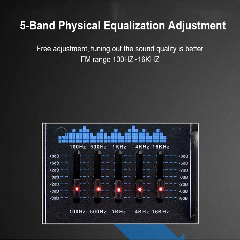 160W Dual Channel HiFi Stereo Audio Home Digital Amplifier Professional Tube Amplifier Module Microphone Input Remote Amplifier