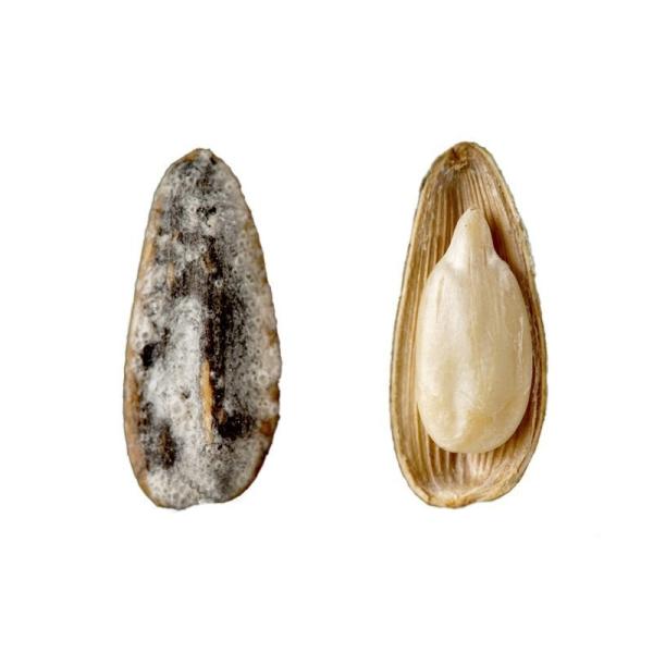 Amazon’s best-selling products China factory wholesale accepts custom packaged sea salt flavored roasted sunflower seeds