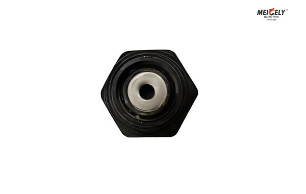Fuso And Canter ME012586 Bolt Oil Jet Valve For All Models