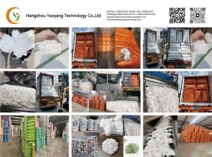 Hangzhou Yaoyang Technology Co.,Ltd