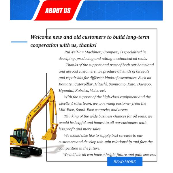 Уплотнение пыли PU экскаватора гидравлическое, голубое уплотнение счищателя DHS цвета