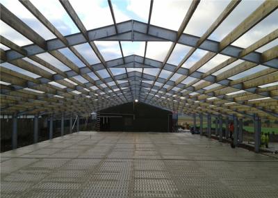 Steel Frame Prefabricated Industrial Buildings , Metal Workshop Building Durable
