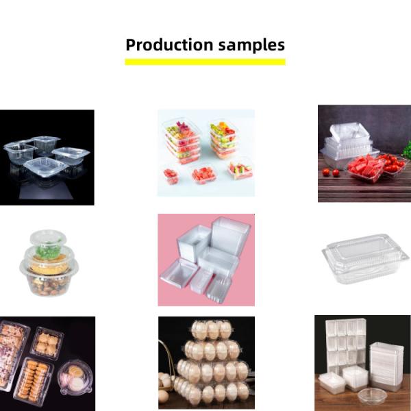 Automatic Disposable Lunch Box Thermoforming Machine
