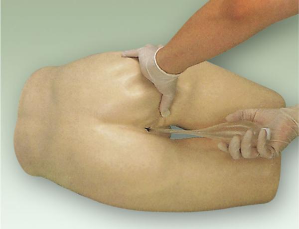 Lifesize Nursing Manikin and dissassembled enema and defecation auxiliary simulator