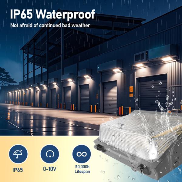 3000K 4000K 5000K LED WallPack Light For Commercial / Industrial Areas