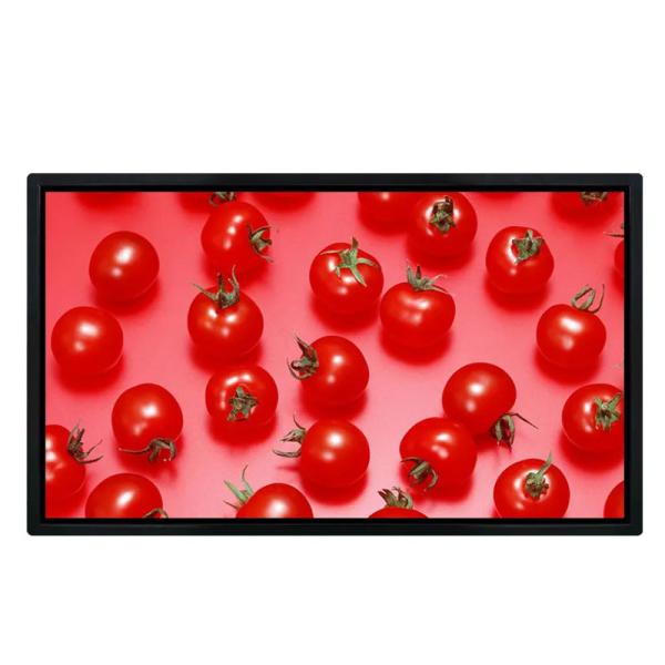 65 Inch Wall Mounted Digital Signage with 3840x2160 Resolution and HDMI/VGA/DVI/AV/USB Outputs for Advertising