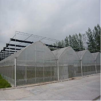 Easy To Assemble Multi Span Greenhouse For Growing Vegetables And Flowers