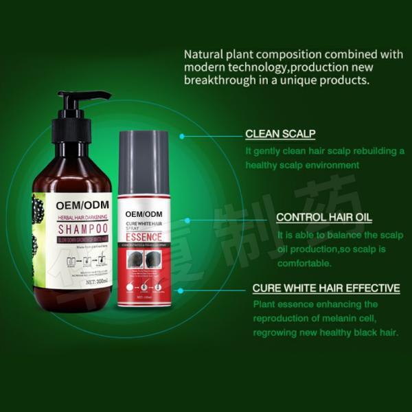 Medical Black Anti Grey Hair Shampoo For White Hair Treatment From Root 300ml