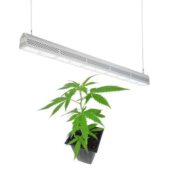 Anti Heavy Moisture Horticulture Grow Lights , Indoor And Outdoor Led Grow Lights