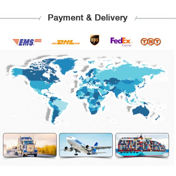 Customização XHYS101 Sistema de medição do fator de dissipação do óleo de isolamento e da resistividade