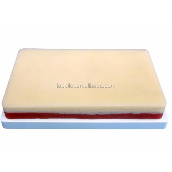 Advanced Surgical Muscle and Skin Suture Practice Model for Teaching Clinical Skills