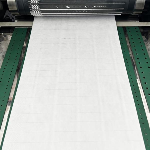 High Speed Rotary Die Cutting Machine For Tyvek Bracelet