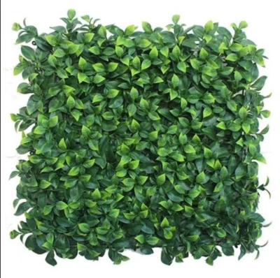 50cm*50cm Taille Paroi en herbe artificielle Facile à installer Grande performance Faible entretien