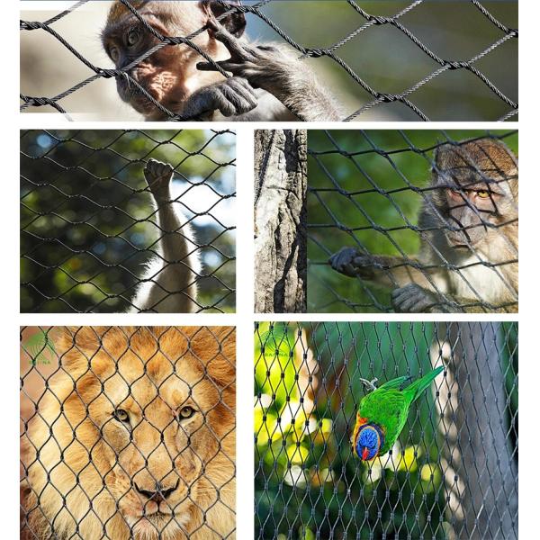 1.2mm 4.0mm SS 304 Wire Mesh Bird Mesh 60 Degree For Zoo Animal Enclosure