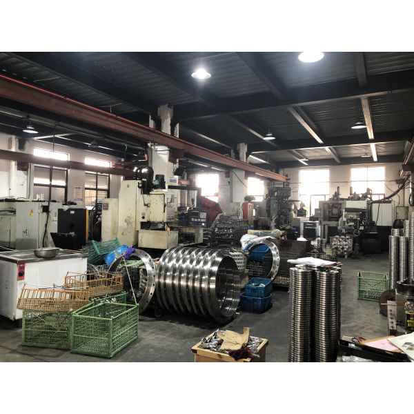 Stainless Steel Weld Neck Flange