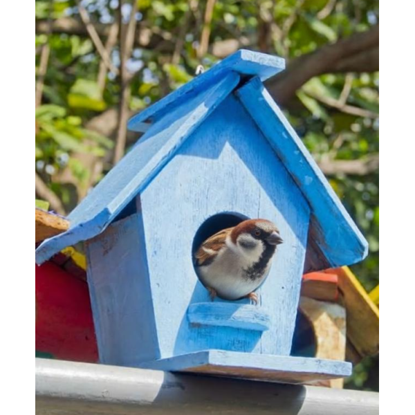 Wooden Pet Dwellings Eco-friendly Paint