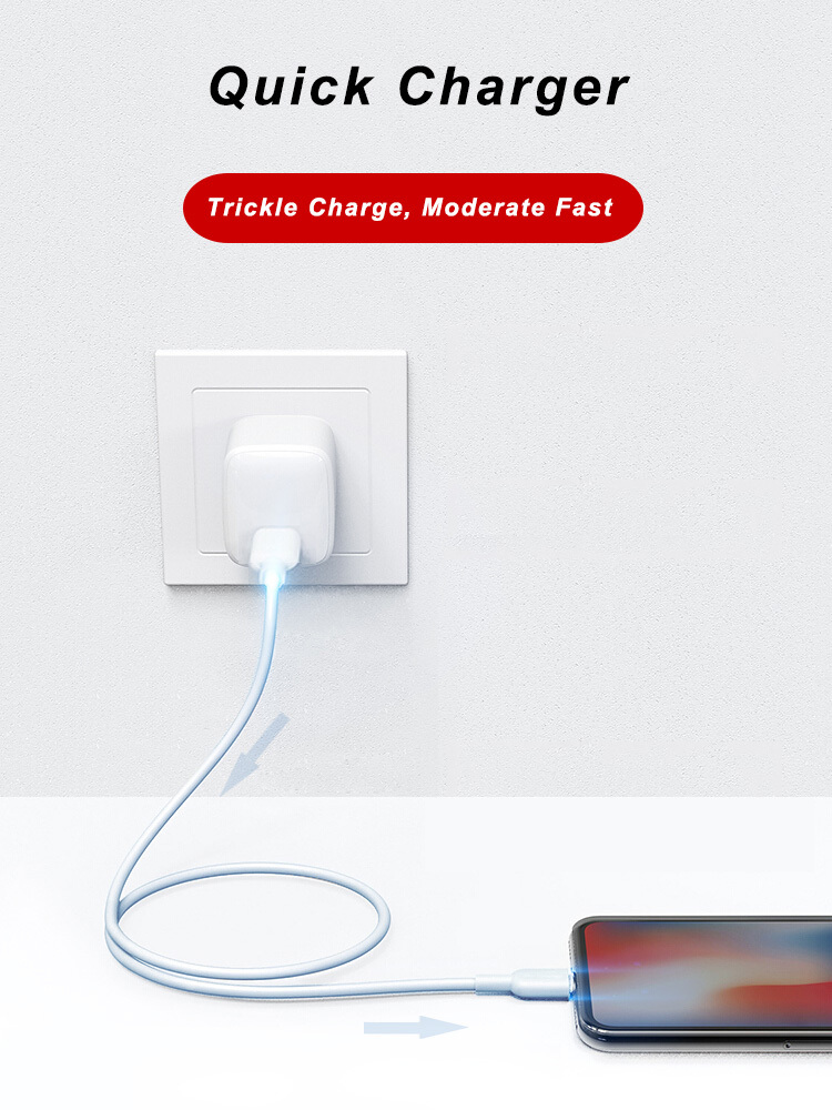FCC USB 2.0 Lightning Cable 36g USB C Sync And Charge Cable