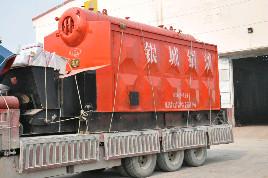 TAIGUO Chain Row Biomass Pellet Steam Boiler Horizontal