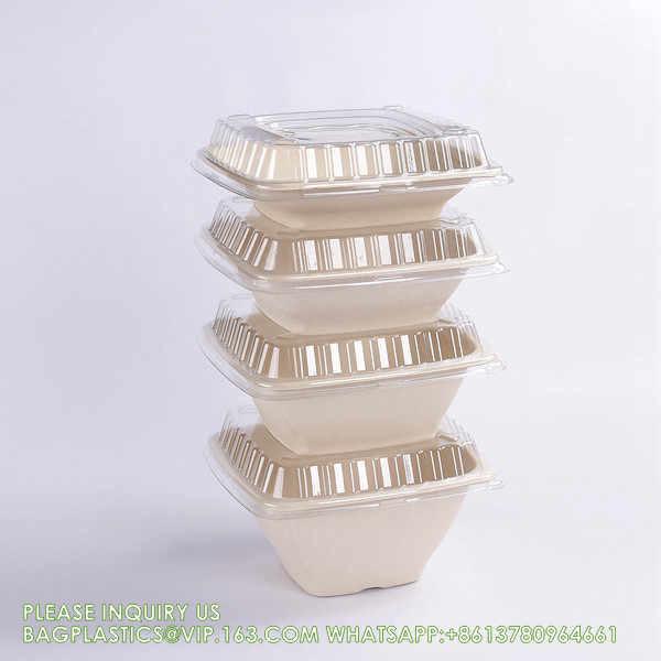 5 Compartment Snack Food Tray Sugarcane Bagasse Plate Disposable Plates Eco-Friendly White Natural Bagasse Plates