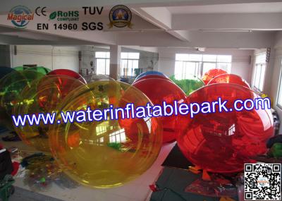 Party Rental Crazy Inflatable Water Ball , Inflatable Hamster Ball For Entertainment