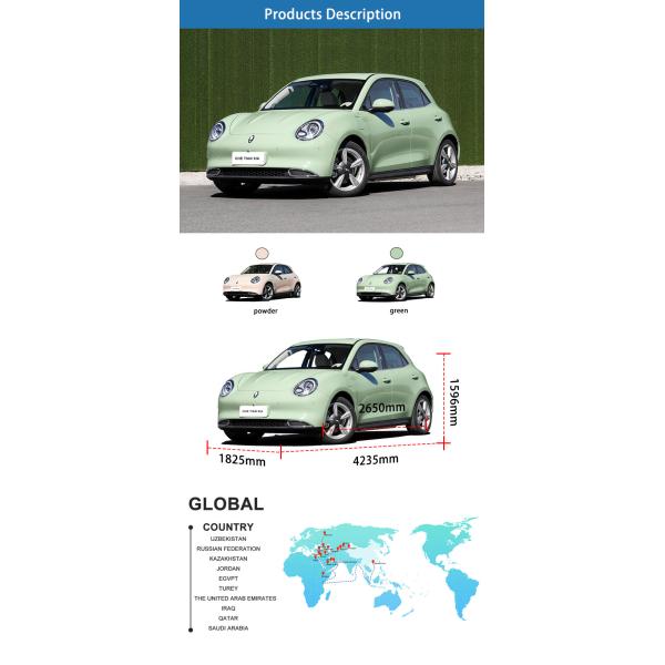 Ora Mini EV Cars Affordable 401KM Mini Electric Car For Adults