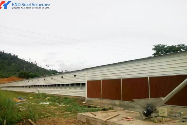 Fully Automatic Galvanized Poultry Farm Layer Cage with Feeding System