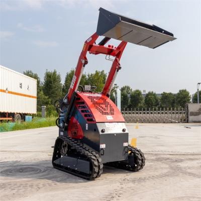 Conception unique 600 kg petit chargeur de direction pour le déneigement