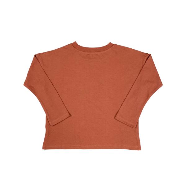 Full Sleeve Children T-shirt Sustainable Cotton Kids Pullover for 3-10 Year Old Girls