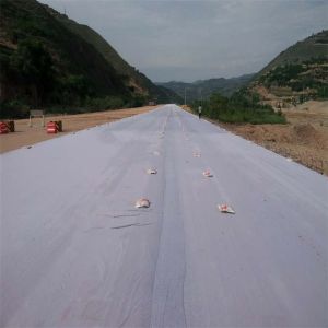 Короткий Nonwoven Geotextile место захоронения отходов железной дороги шоссе дороги 4m x 50m черное Geofabric