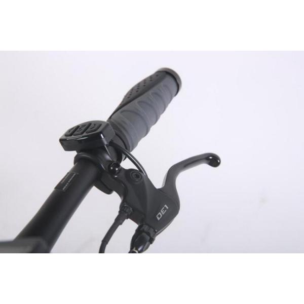 OEM Adult Electric Assist Mountain Bike With 36V / 10.4Ah Lithium Battery