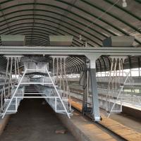 A Type 43*41 cm Full Automatic Battery Cage System